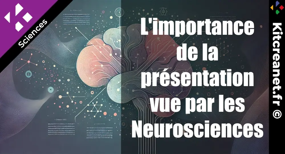 L'importance De La Présentation Vue Par Les Neurosciences