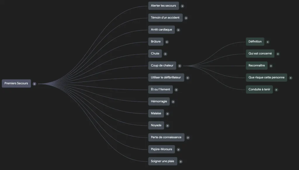Une visualisation de la Carte mentale (Mind Map) produite par NoteBookLM